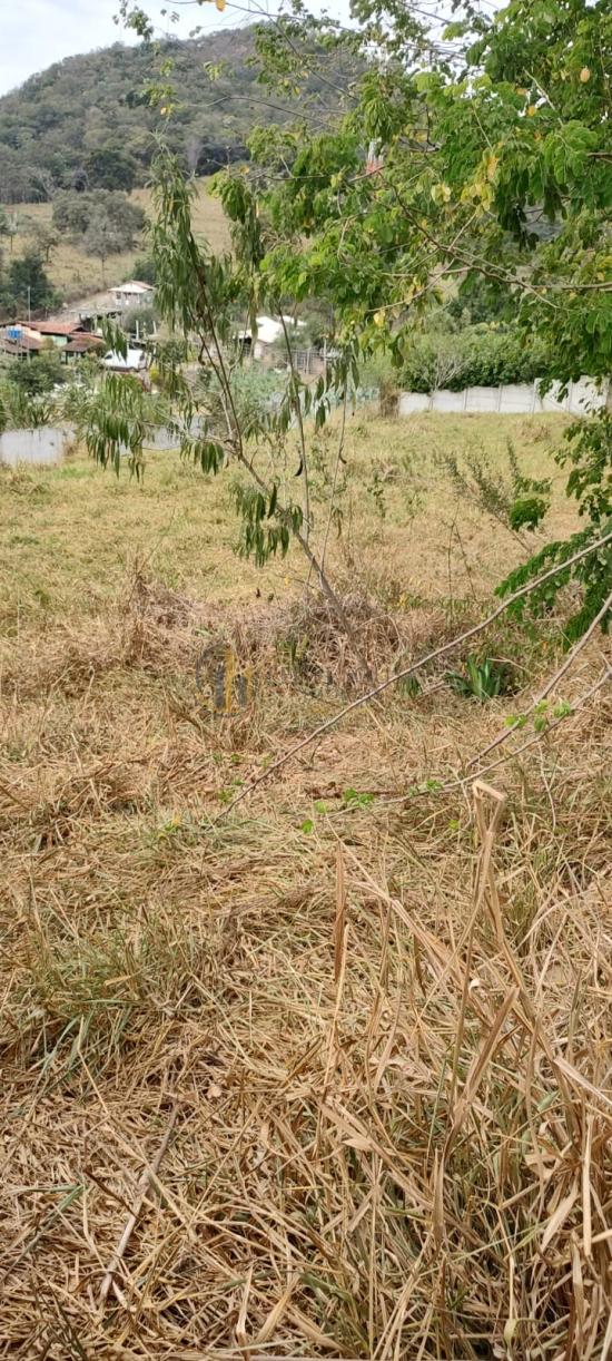 terreno-venda-gentileza-betim-1017132