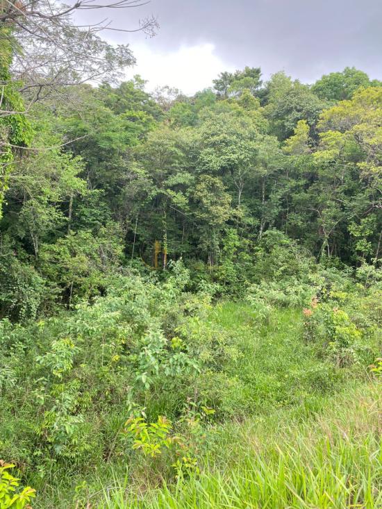 lote-venda-condominio-ouro-verde-betim-1047494