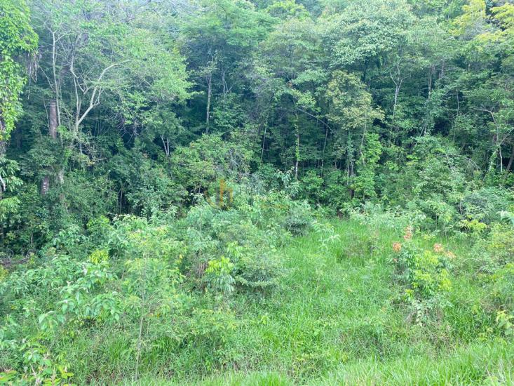 lote-venda-condominio-ouro-verde-betim-1047495